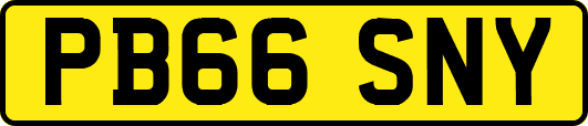 PB66SNY