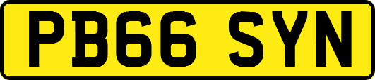 PB66SYN