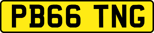PB66TNG