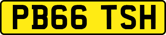 PB66TSH