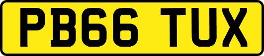 PB66TUX