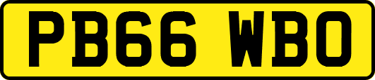 PB66WBO
