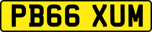 PB66XUM