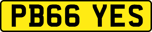 PB66YES