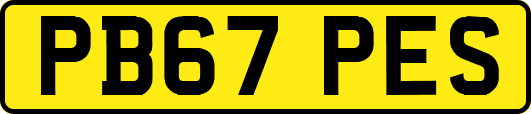 PB67PES