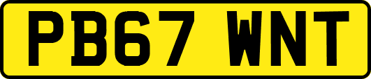 PB67WNT