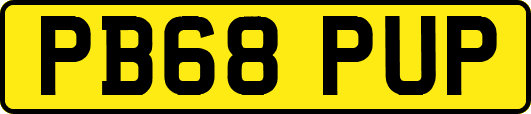 PB68PUP