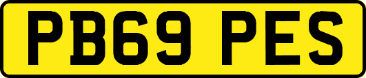 PB69PES