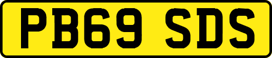 PB69SDS