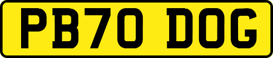 PB70DOG