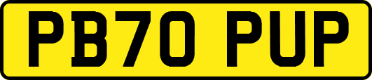 PB70PUP