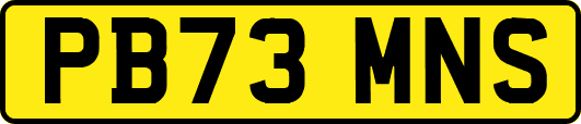 PB73MNS