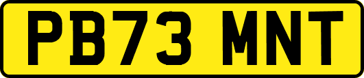 PB73MNT