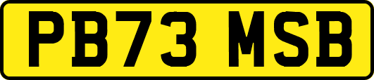 PB73MSB