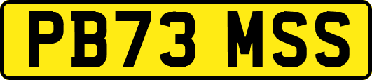 PB73MSS