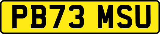 PB73MSU