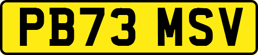PB73MSV