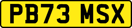 PB73MSX