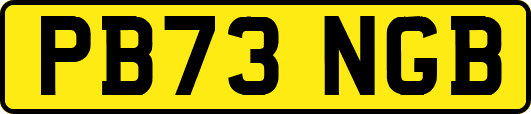 PB73NGB