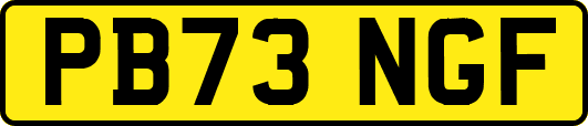 PB73NGF