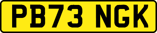PB73NGK
