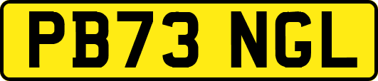 PB73NGL