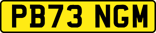 PB73NGM