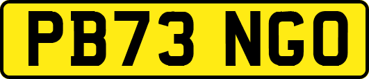 PB73NGO