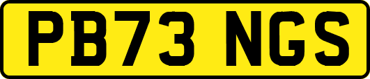 PB73NGS