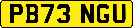 PB73NGU