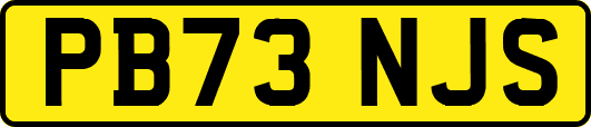 PB73NJS