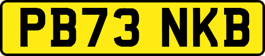 PB73NKB