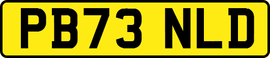 PB73NLD
