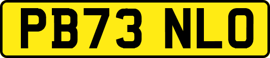 PB73NLO