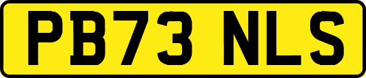 PB73NLS