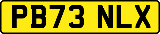 PB73NLX