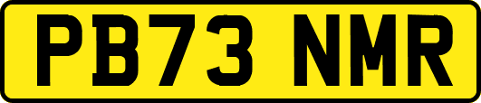 PB73NMR