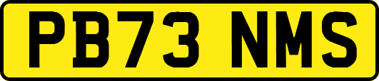 PB73NMS