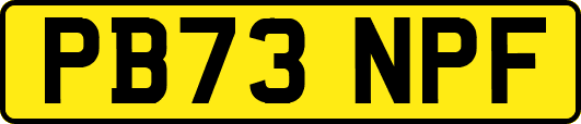 PB73NPF
