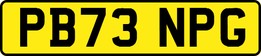 PB73NPG