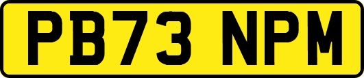 PB73NPM