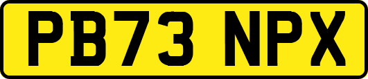 PB73NPX