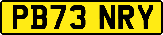 PB73NRY
