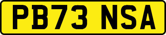PB73NSA
