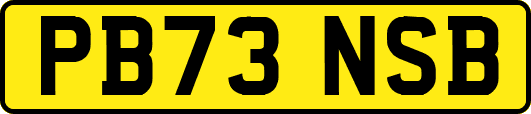PB73NSB