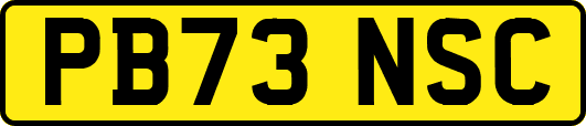 PB73NSC