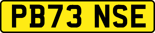 PB73NSE