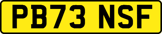 PB73NSF