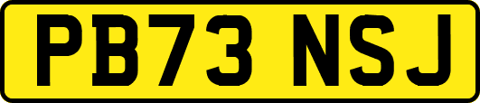 PB73NSJ