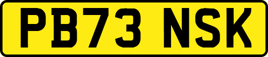 PB73NSK